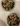 Pumpkin Seed Ricotta Gnocchi